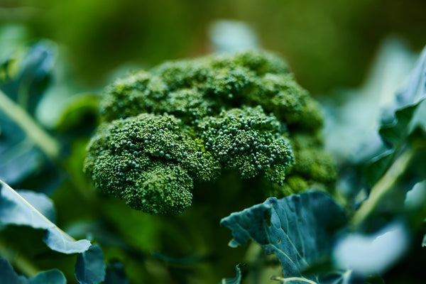 Eat more cruciferous veggies during the festive season - here's why!